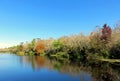 Six Mile Cypress Slough, Florida Royalty Free Stock Photo