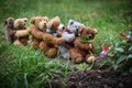 Six miniature teddy bears weeding in the garden Royalty Free Stock Photo