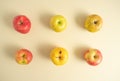 Six organic naturally grown apples lined up on a pastel beige background. Flat arrangement.