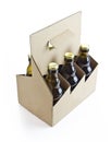 Six pack beer with clipping path Royalty Free Stock Photo
