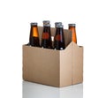 Six pack of glass bottled beer in generic brown cardboard carrie