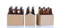 Six packs of glass bottled beer in generic brown cardboard carriers on white background