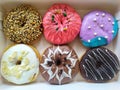 six pieces of colorful donuts in the white box