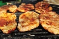 Six pieces of marinated chicken breast Royalty Free Stock Photo