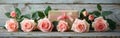Six Pink Roses and Giftbox on Rustic White Wooden Background - Romantic Floral Gift Idea for Any Occasion Royalty Free Stock Photo