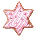 Six-pointed star ginger biscuit