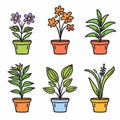 Six potted plants colorful vector illustration isolated white background. Handdrawn houseplants Royalty Free Stock Photo