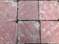 Six purple pavement bricks background and texture