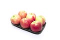 6 red and green apples Royalty Free Stock Photo