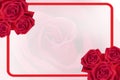 Six red roses flower on red frame on blur roses flower background, nature, banner, template, copy space