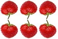 Six ripe strawberries. Vertical reflection. Fresh berries strawberries on a white background. Strawberries closeup.