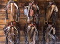 Six saddles and bridles hanging from walll Royalty Free Stock Photo