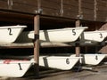 Six Sailboats