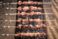 Six skewers with roasted kebabs on the barbecue