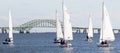Six small sailboats during a winter regatta in the Great South Bay with the bridge in the background Royalty Free Stock Photo