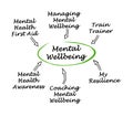 Sources of Mental Wellbeing