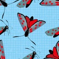 Six spot burnet butterfly seamless vector pattern background. Day flying moth illustration.Scottish coastal insect