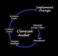 Steps of Clinical Audit