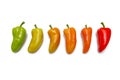 Six sweet coloured Peppers isolated on white background.