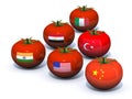 Six Tomato Producers concepts