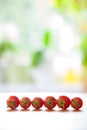 Six tomatoes in a row in front of a blue green and white blurry background Royalty Free Stock Photo