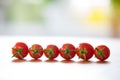 Six tomatoes in a row in front of a blue green and white blurry background Royalty Free Stock Photo