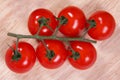 six tomatoes on the vine on a wood chopping board Royalty Free Stock Photo