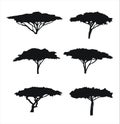 Six trees acacia silhouettes