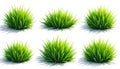 Six tufts of green grass sit isolated on a clean white background. These elements are perfect for game design or various digital Royalty Free Stock Photo