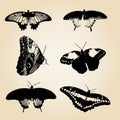 Six types of black vector butterfly