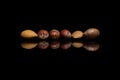 Six unshelled nuts, two almonds, one pecan and three hazelnuts i