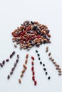 Six variety of dried beans: kidney beans Royalty Free Stock Photo