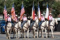 Six White Horses in a Parade in Abilene, Texas Royalty Free Stock Photo