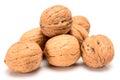 Six whole walnuts, close up macro, isolated on a white background Royalty Free Stock Photo