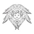 Six winged cherub cute winged curly smiling baby boy angel with rays of linght isolated over white background. Hand drawn design