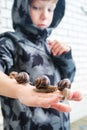 Six-year-old boy in a gray jacket with a hood keeps four snails on his hand and looking on them. Royalty Free Stock Photo