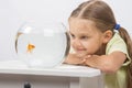 Six year old girl put her head on the handle and looks at a goldfish in an aquarium Royalty Free Stock Photo