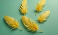 Six yellow feathers with long tails are arranged in circular pattern on light green background. Royalty Free Stock Photo