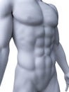 Sixpack abs Royalty Free Stock Photo