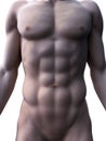 Sixpack abs