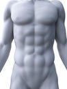 Sixpack abs Royalty Free Stock Photo