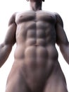 Sixpack abs Royalty Free Stock Photo