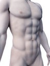 Sixpack abs Royalty Free Stock Photo