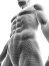 Sixpack abs Royalty Free Stock Photo
