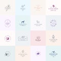 Sixteen Abstract Feminine Vector Signs or Logo Templates Set. Retro Floral Illustration with Classy Typography, Birds