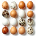 Sixteen Colorful Eggs Arranged in a Square Grid Pattern with Neutral Light Background Royalty Free Stock Photo