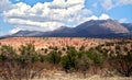 Gila National Forest near Glenwood, New Mexico