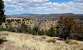 Gila National Forest in New Mexico