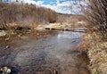 Gila National Forest in New Mexico