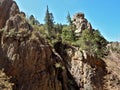 Gila National Forest in New Mexico